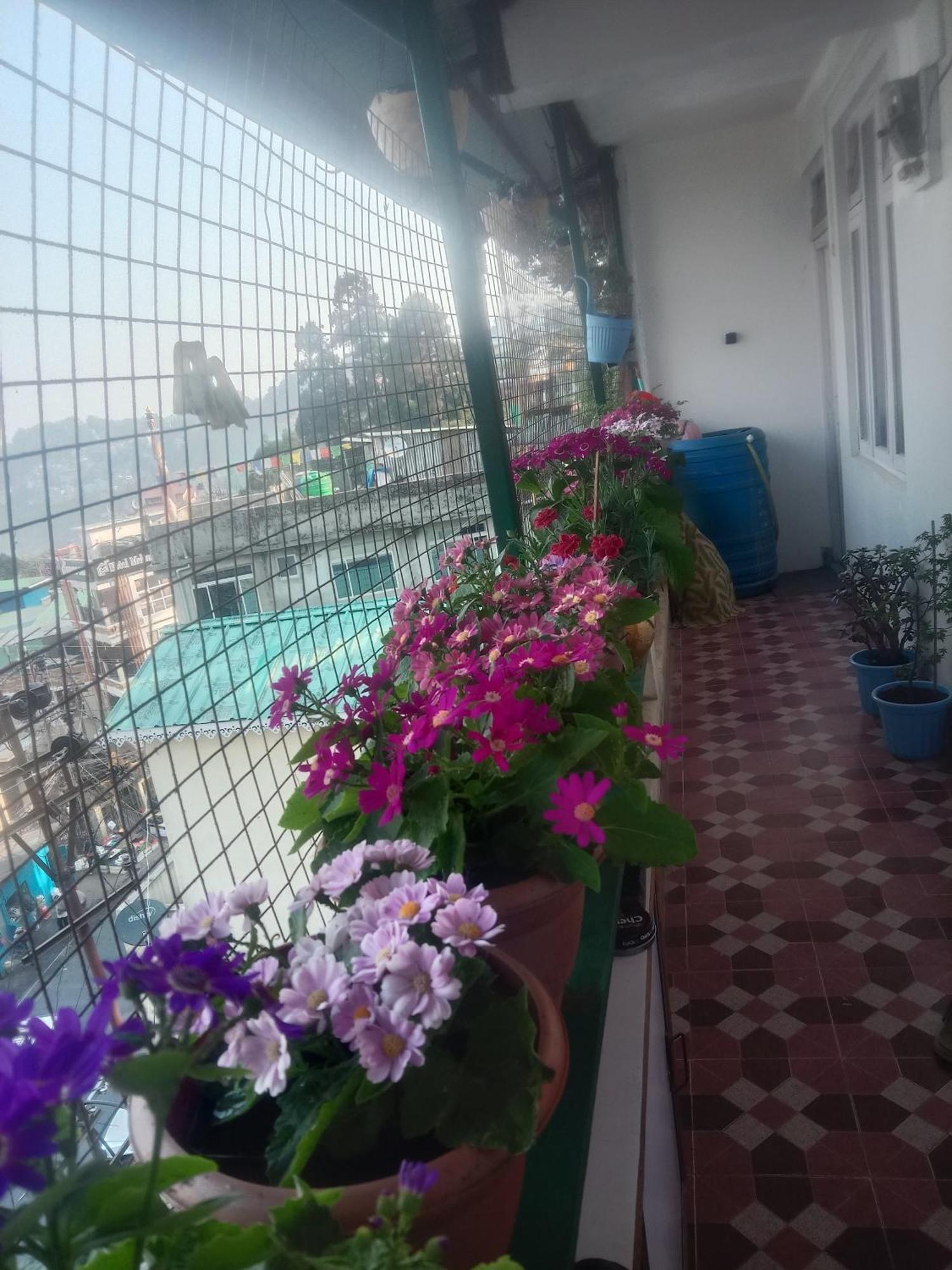 Beverly Hills Home Stay Darjeeling  Eksteriør billede